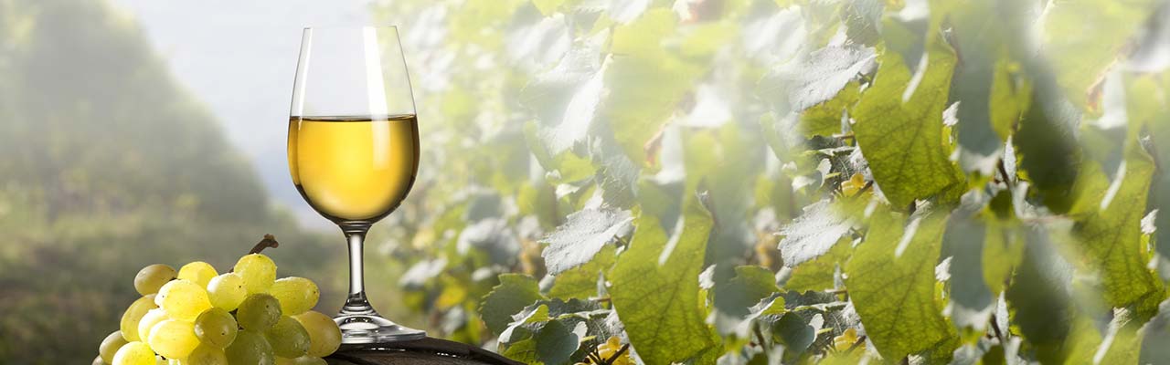 Bauernhöfe in Apulien für Essen und Wein Urlaub