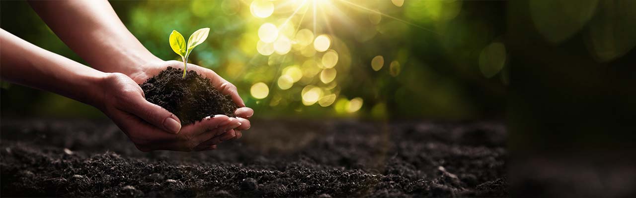 Bio-Bauernhof in Apulien