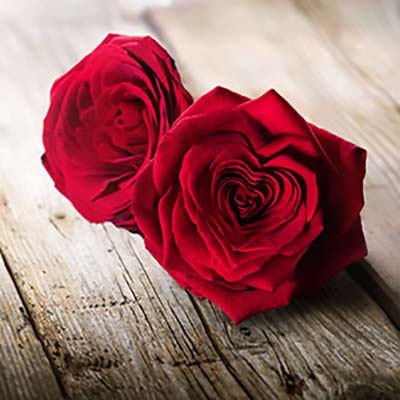 Urlaub zu zweit auf einem Agriturismo in Italien